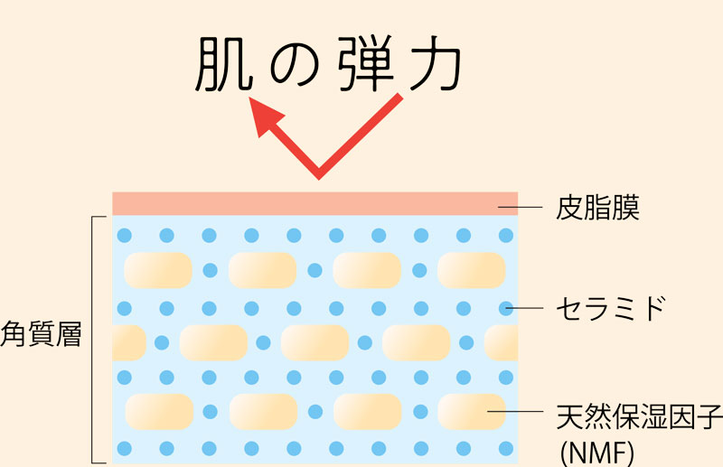 生まれながらにしてうるおいを保つための3つの成分